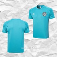 Camiseta de Entrenamiento Palmeiras 2023 2024 Verde