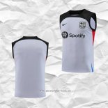 Camiseta de Entrenamiento Barcelona 2023 2024 Sin Mangas Gris