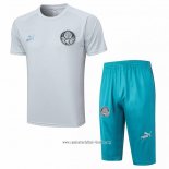 Chandal del Palmeiras 2023 2024 Manga Corta Gris - Pantalon Corto