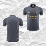 Camiseta de Entrenamiento Arsenal 2023 2024 Gris