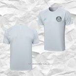 Camiseta de Entrenamiento Palmeiras 2023 2024 Gris