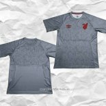 Camiseta de Entrenamiento Athletico Paranaense 2024 2025 Gris