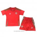 Camiseta Primera Gales 2024 Nino