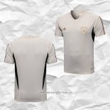 Camiseta de Entrenamiento Alemania 2022 2023 Gris