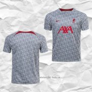 Camiseta Pre Partido del Liverpool 2022 Gris Oscuro