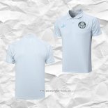 Camiseta Polo del Palmeiras 2023 2024 Gris