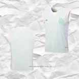 Camiseta de Entrenamiento Ajax 2023 2024 Sin Mangas Verde