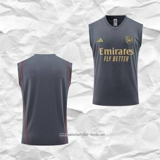 Camiseta de Entrenamiento Arsenal 2023 2024 Sin Mangas Gris