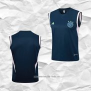 Camiseta de Entrenamiento Ajax 2023 2024 Sin Mangas Azul
