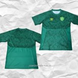 Camiseta de Entrenamiento Fluminense 2023 2024 Verde