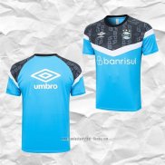 Camiseta de Entrenamiento Gremio 2023 2024 Azul