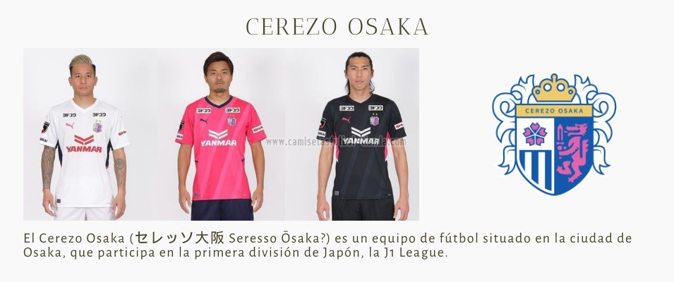 Camiseta Cerezo Osaka 2022 2023