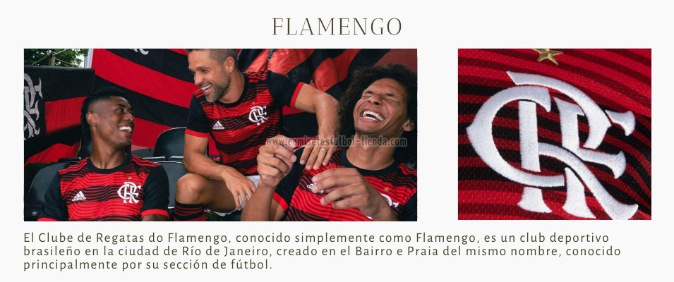 Camiseta Flamengo 2022 2023