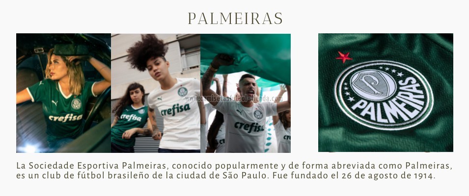 Camiseta Palmeiras 2022 2023