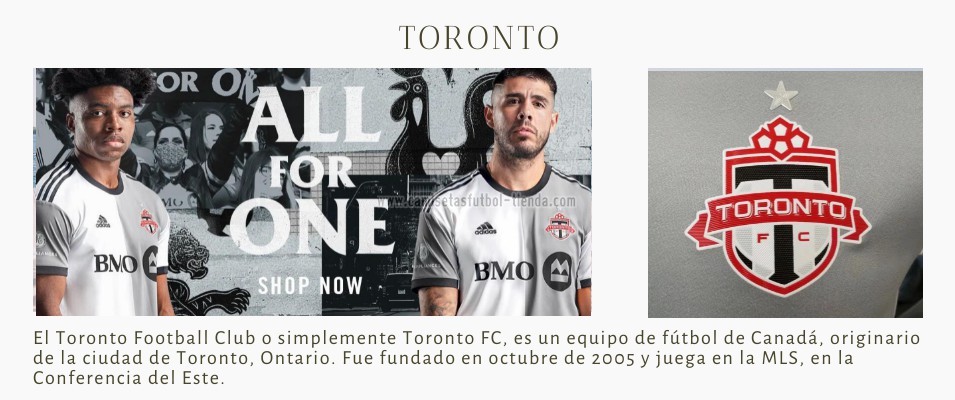 Camiseta Toronto 2022 2023